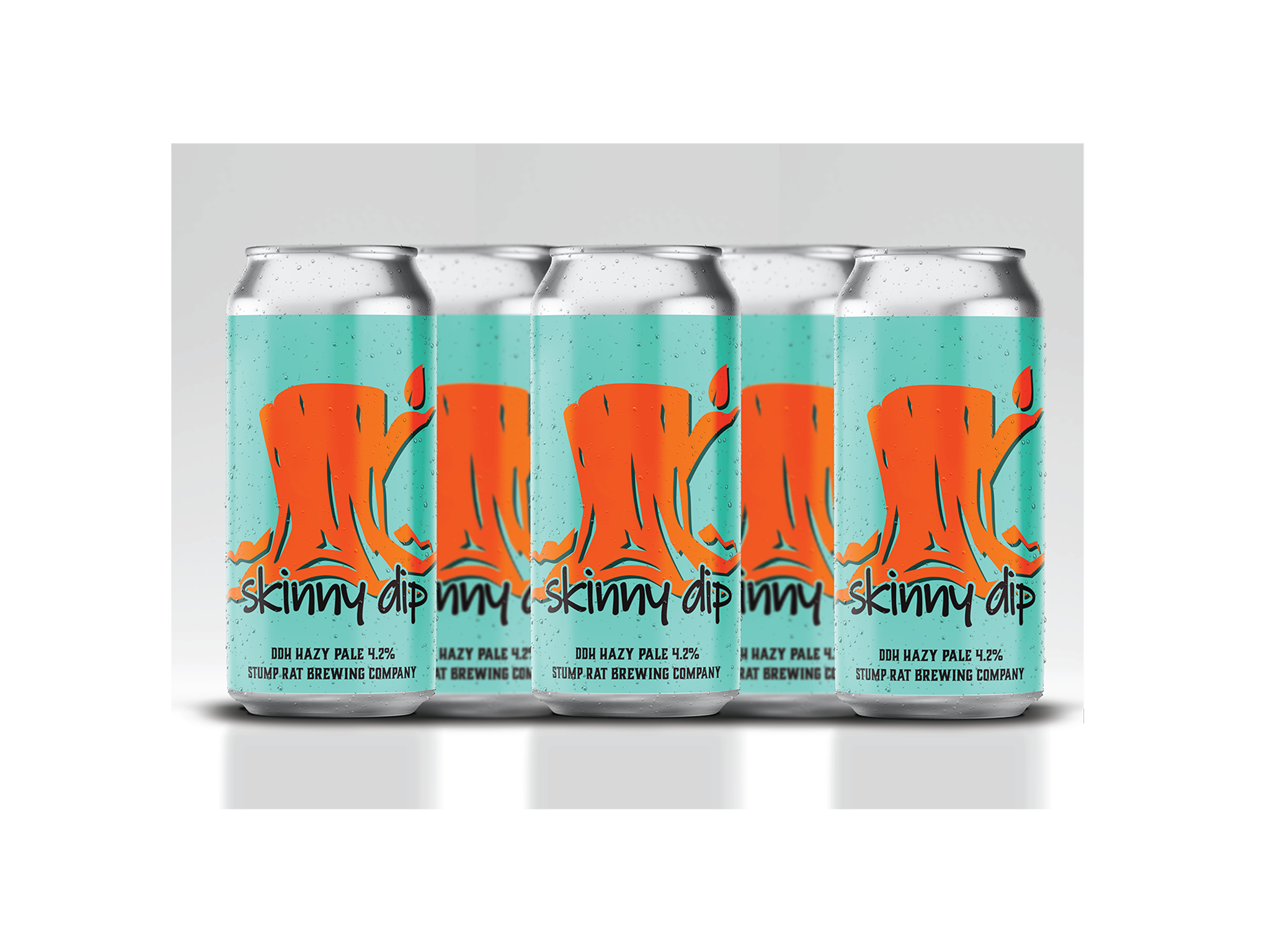 Skinny Dip DDH Pale Ale 4.2% 6 Pack