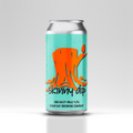 Skinny Dip DDH Pale Ale 4.2%