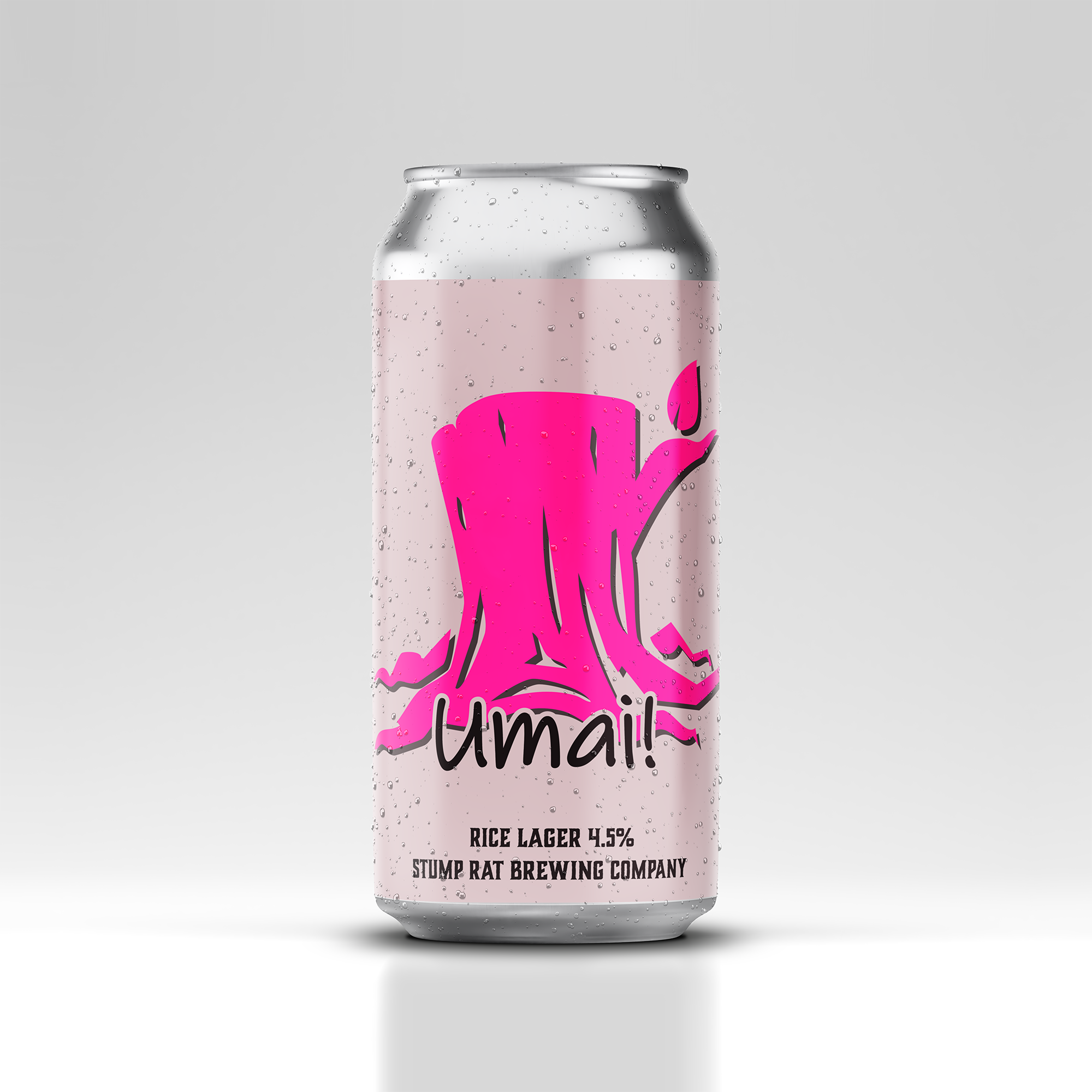 Launch Special 12 Pack
